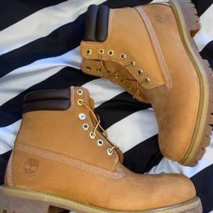 Brand new timberlands boots size 9